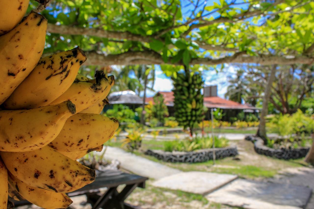 Vaimoana Seaside Lodge Savai'i Island Εξωτερικό φωτογραφία